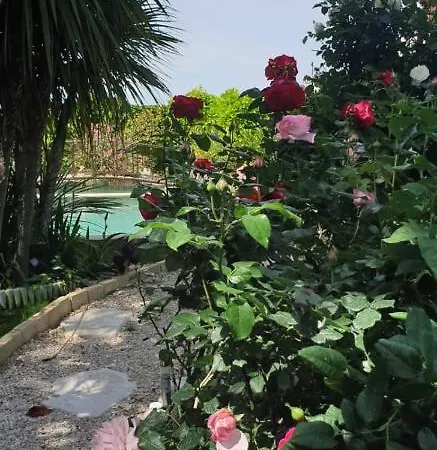 Solary Bed & Breakfast